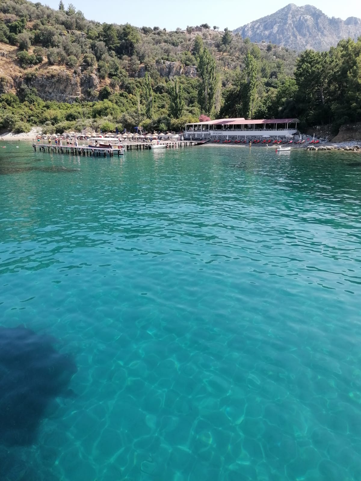 berrak deniz boat amos akvaryum koyu